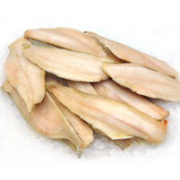 Freezer Packs