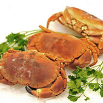 Crab & Lobster